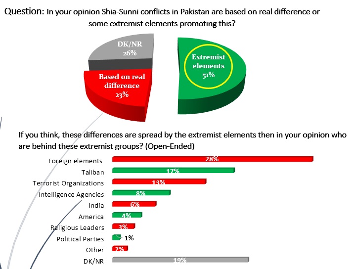 Majority of the Pakistanis believe that the extremist elements are spreading Shia Sunni differences in Pakistan